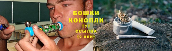 прущий лед Богородицк