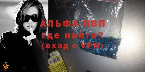 ECSTASY Богданович