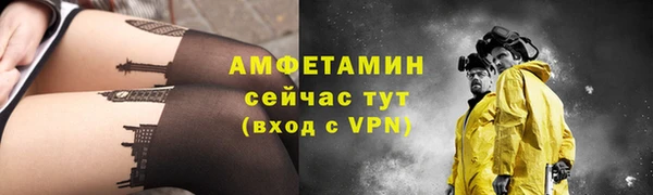 ECSTASY Богданович