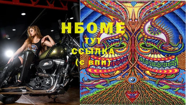 прущий лед Богородицк