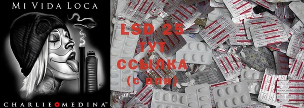 ECSTASY Богданович