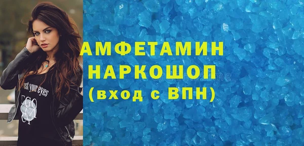 ECSTASY Богданович
