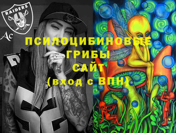 ECSTASY Богданович