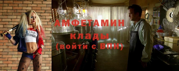 ECSTASY Богданович