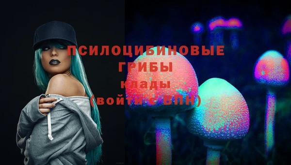 a pvp Богородск
