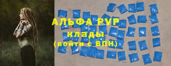 ECSTASY Богданович